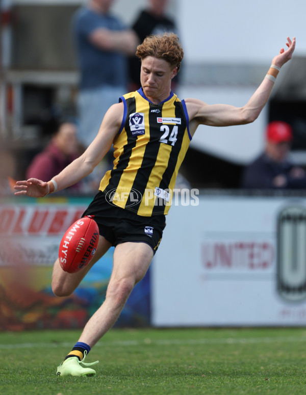 VFL 2024 Round 21 - Sandringham v Geelong - A-53313868