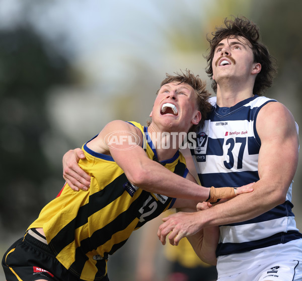 VFL 2024 Round 21 - Sandringham v Geelong - A-53313871