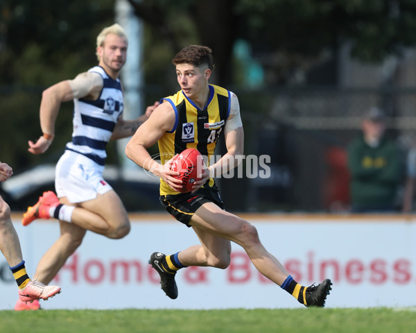 VFL 2024 Round 21 - Sandringham v Geelong - A-53313872