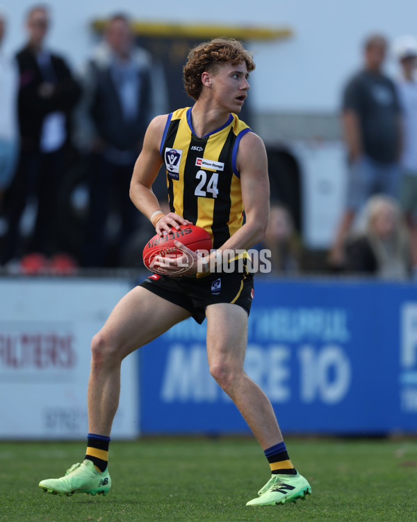 VFL 2024 Round 21 - Sandringham v Geelong - A-53313873