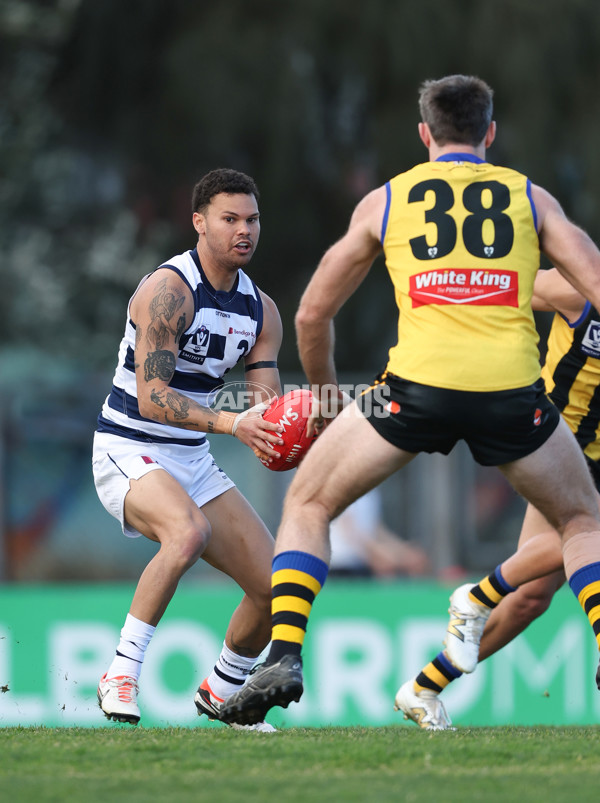 VFL 2024 Round 21 - Sandringham v Geelong - A-53313877