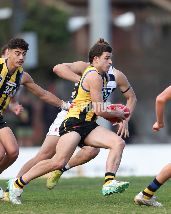 VFL 2024 Round 21 - Sandringham v Geelong - A-53313878