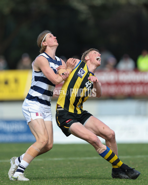 VFL 2024 Round 21 - Sandringham v Geelong - A-53313886