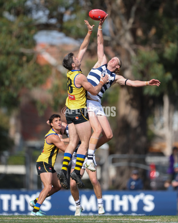 VFL 2024 Round 21 - Sandringham v Geelong - A-53313894