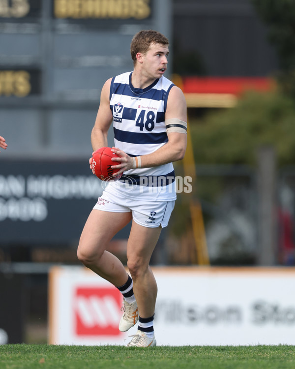 VFL 2024 Round 21 - Sandringham v Geelong - A-53313932