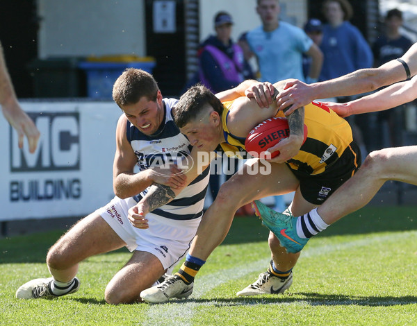 VFL 2024 Round 21 - Sandringham v Geelong - A-53313938