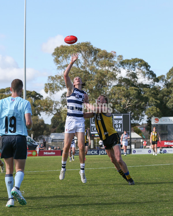 VFL 2024 Round 21 - Sandringham v Geelong - A-53313940