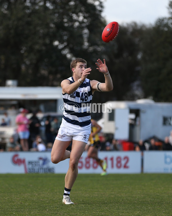 VFL 2024 Round 21 - Sandringham v Geelong - A-53313941