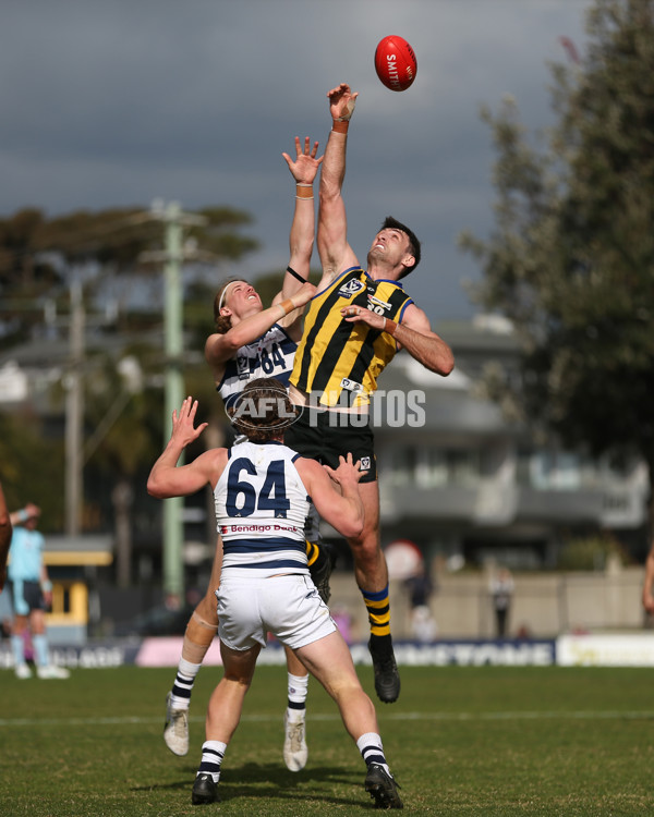 VFL 2024 Round 21 - Sandringham v Geelong - A-53313943