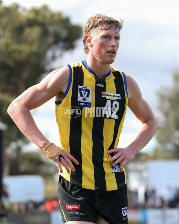 VFL 2024 Round 21 - Sandringham v Geelong - A-53313944