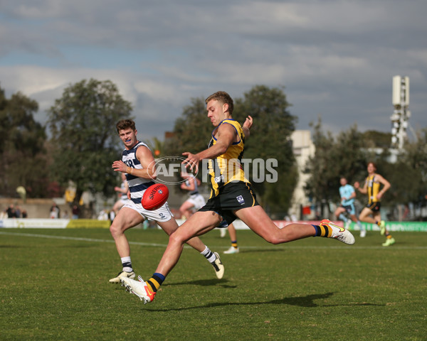 VFL 2024 Round 21 - Sandringham v Geelong - A-53313946