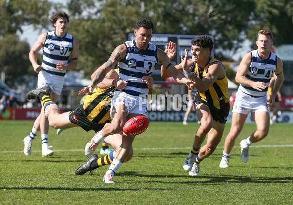 VFL 2024 Round 21 - Sandringham v Geelong - A-53313949