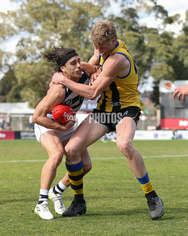 VFL 2024 Round 21 - Sandringham v Geelong - A-53313951