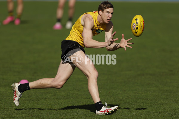 AFL 2024 Training - Richmond 220824 - A-53316540