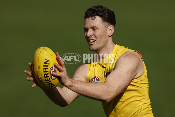 AFL 2024 Training - Richmond 220824 - A-53316541