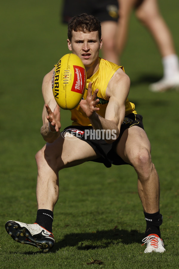 AFL 2024 Training - Richmond 220824 - A-53316542