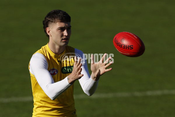 AFL 2024 Training - Richmond 220824 - A-53316670