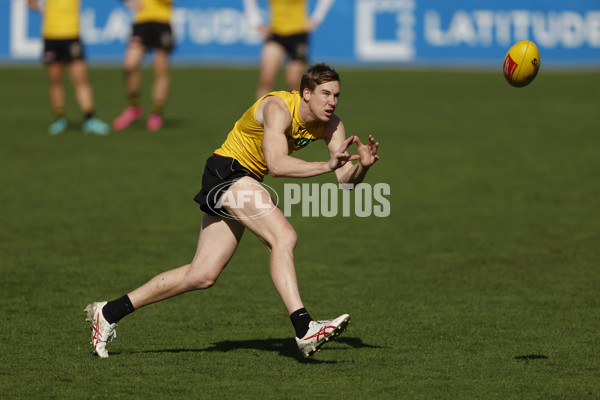 AFL 2024 Training - Richmond 220824 - A-53316679