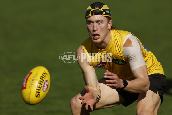 AFL 2024 Training - Richmond 220824 - A-53316684