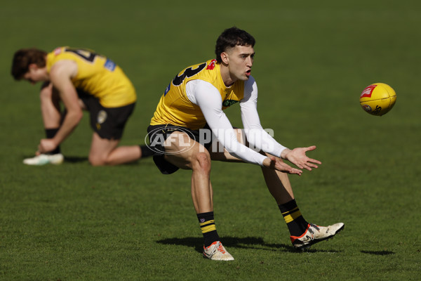 AFL 2024 Training - Richmond 220824 - A-53316686