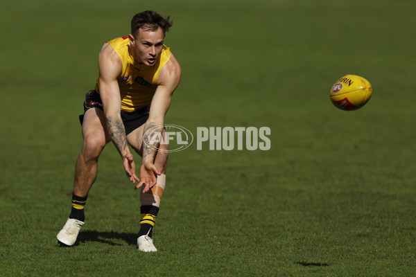 AFL 2024 Training - Richmond 220824 - A-53318657