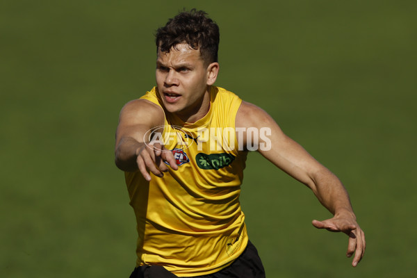 AFL 2024 Training - Richmond 220824 - A-53318658