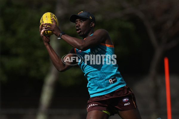 AFL 2024 Training - Hawthorn 220824 - A-53320176