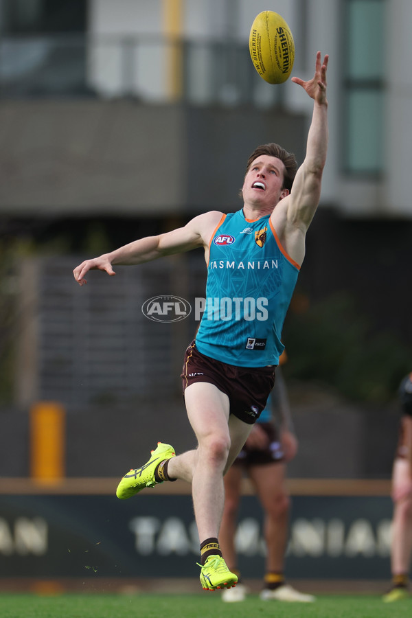 AFL 2024 Training - Hawthorn 220824 - A-53320972