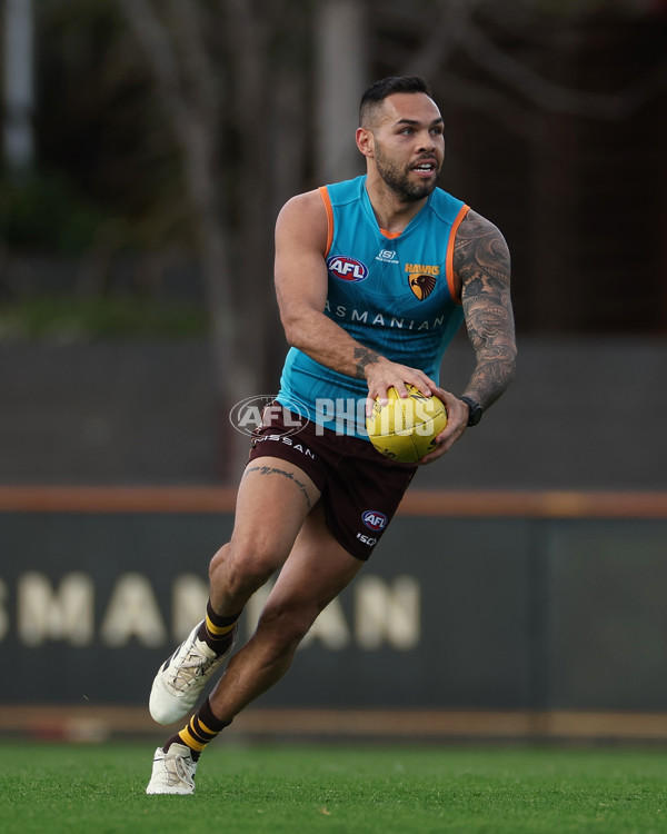 AFL 2024 Training - Hawthorn 220824 - A-53320983