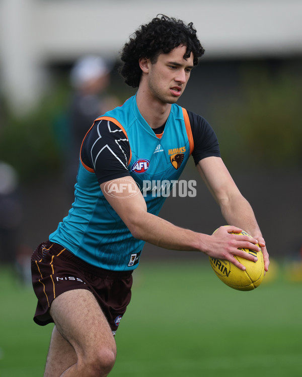 AFL 2024 Training - Hawthorn 220824 - A-53323152