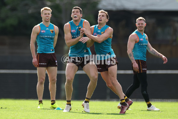 AFL 2024 Training - Hawthorn 220824 - A-53323156