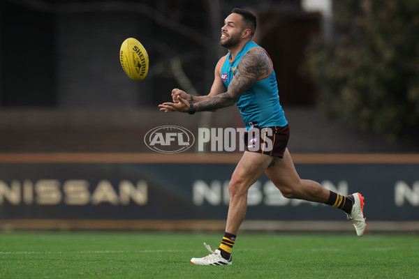 AFL 2024 Training - Hawthorn 220824 - A-53323157