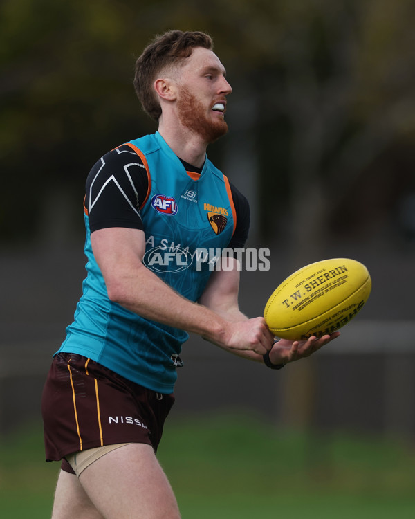 AFL 2024 Training - Hawthorn 220824 - A-53323158