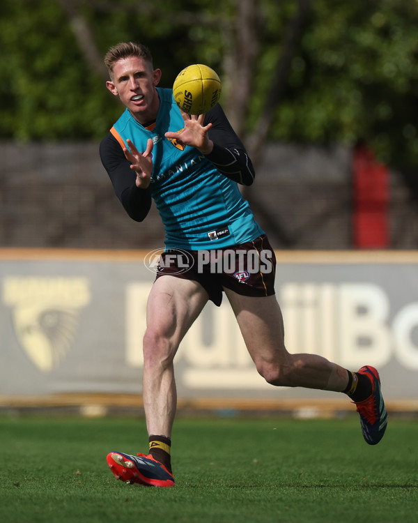 AFL 2024 Training - Hawthorn 220824 - A-53323160