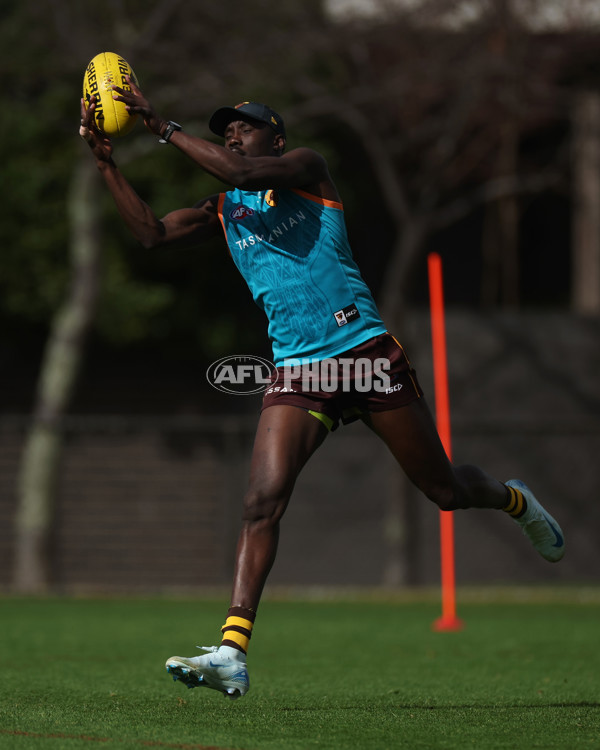 AFL 2024 Training - Hawthorn 220824 - A-53323163