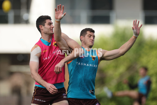 AFL 2024 Training - Hawthorn 220824 - A-53323164