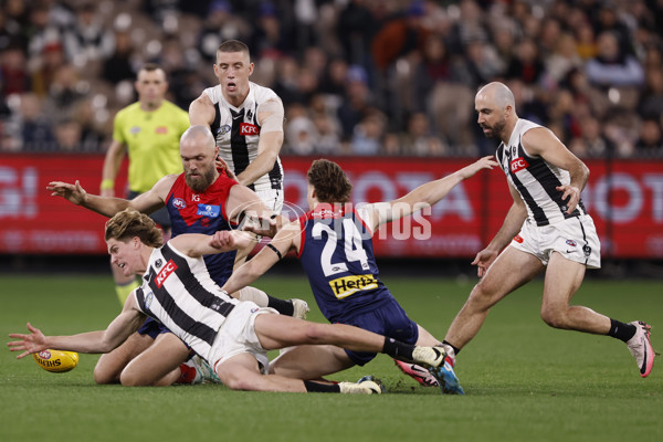 AFL 2024 Round 24 - Melbourne v Collingwood - A-53323250