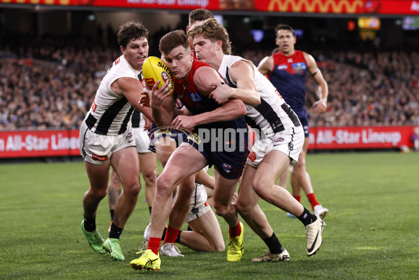 AFL 2024 Round 24 - Melbourne v Collingwood - A-53326455