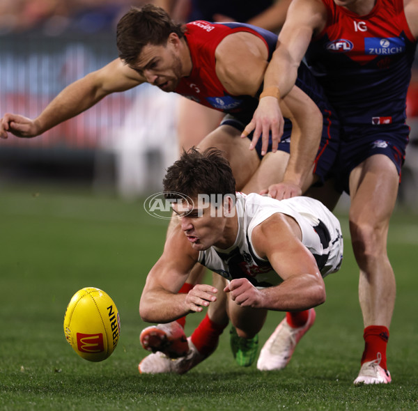 AFL 2024 Round 24 - Melbourne v Collingwood - A-53326520