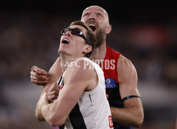 AFL 2024 Round 24 - Melbourne v Collingwood - A-53326521