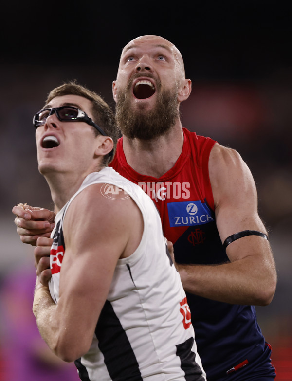 AFL 2024 Round 24 - Melbourne v Collingwood - A-53326522