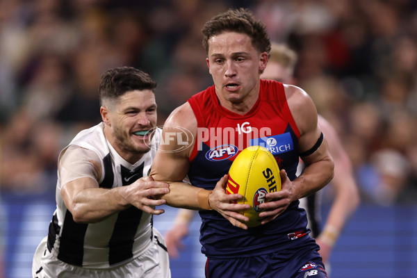 AFL 2024 Round 24 - Melbourne v Collingwood - A-53326544