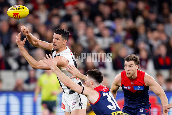 AFL 2024 Round 24 - Melbourne v Collingwood - A-53326547