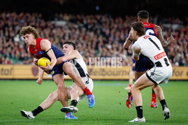 AFL 2024 Round 24 - Melbourne v Collingwood - A-53328822