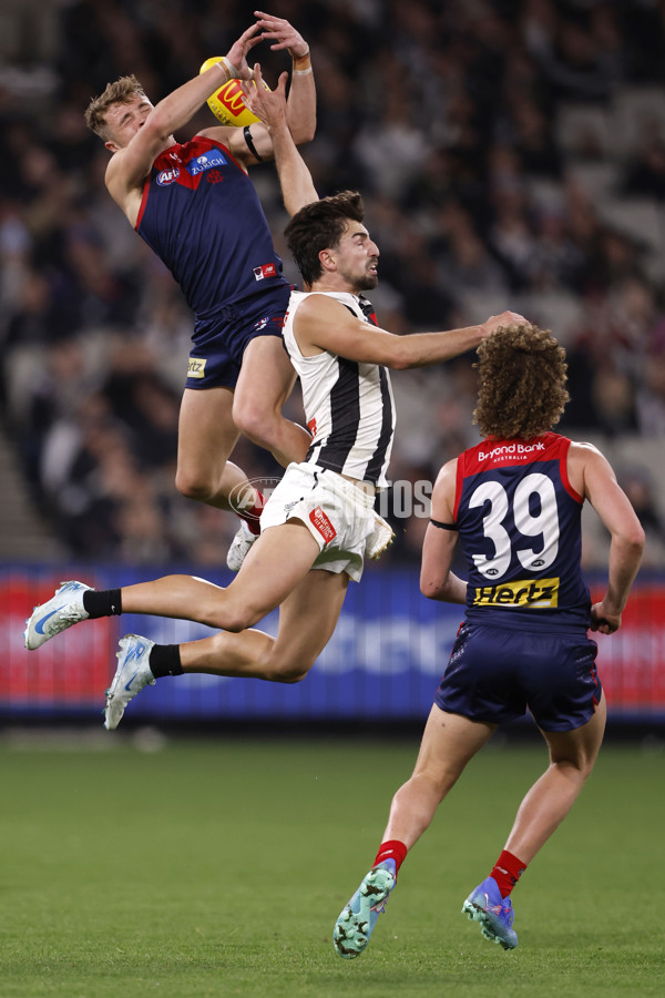 AFL 2024 Round 24 - Melbourne v Collingwood - A-53328855