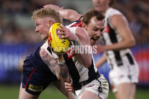 AFL 2024 Round 24 - Melbourne v Collingwood - A-53328861