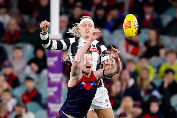 AFL 2024 Round 24 - Melbourne v Collingwood - A-53328884