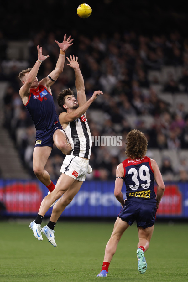 AFL 2024 Round 24 - Melbourne v Collingwood - A-53329429