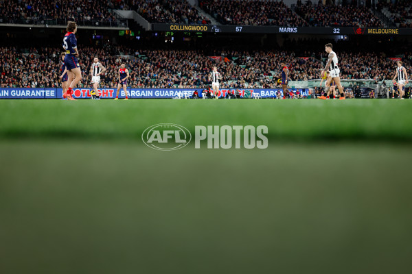 AFL 2024 Round 24 - Melbourne v Collingwood - A-53330936