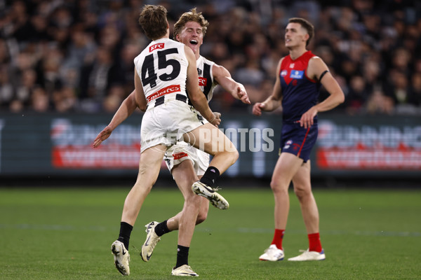 AFL 2024 Round 24 - Melbourne v Collingwood - A-53331018